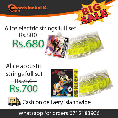 alice_guitar_strings