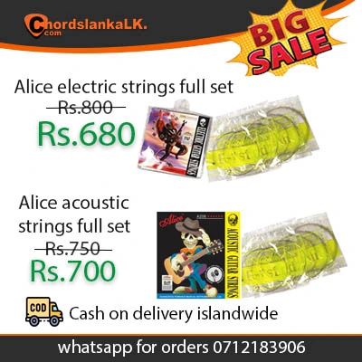 Alice Guitar Strings Sri Lanka Sale