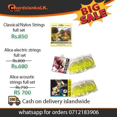 Alice Guitar Strings Sri Lanka Sale